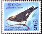 Ceylon 1966 Pták Graculaptilogenys, Michel č.340 **
