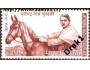 Indie 1970 Jatindra Nath Mukherjee, kůň, Michel č.504 **
