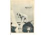 LETADLO = + PES /rok 1938*UF=1272