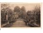 KUKS = KUKUS +SOCHY BRAUNA = r.1926?*ac-965