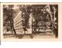 TRENČIANSKÉ TEPLICE /rok1950?*ac-1169