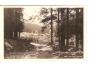 CHALUPY POD OSTRÝM = ŠUMAVA /rok1926?*ca2057