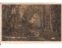 PRALES U ČERNÉHO JEZERA / ŠUMAVA /rok1937?*AB1995