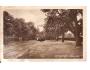 ROŽĎALOVICE=KAŠTANY V KVĚTU / NYMBURK /rok1930*AB2028