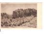 SKALY U SKOKOVA /mal.ŠVABINSKÝ/MN.HRADIŠTĚ /rok1950?*AB2033