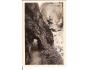 RIEGROVA STEZKA /rok1930?*AB2038