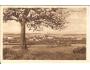 VYSOKÉ MÝTO /rok1926?*ab-1686