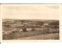NAPAJEDLA /rok1950?*ab-1707