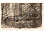 BRANDÝS NAD ORLICÍ + POMNÍK /rok1930?*AA5549