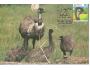 Austrálie, Carte Maxima, 1986-08-13 fauna emu, a5