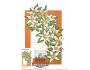 Austrálie, Carte Maxima, 1986-08-25 flora blatouch, a5