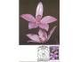 Austrálie, Carte Maxima, 1986-09-18 flora orchidej 36c, a5