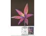 Austrálie, Carte Maxima, 1986-09-18 flora orchidej 1$, a5