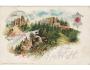 HELFENBURK HRAD + ERB=LITOGRAFIE /rok1899?*kc9057