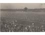 SOKOL=SLET PRAHA /rok1925-29?*BE3518