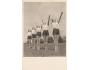 SOKOL=XI. SLET=PRAHA /rok1948*BE3624