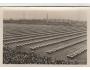 SOKOL=IX. SLET=PRAHA /rok1932*BE3628