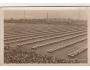 SOKOL=IX. SLET=PRAHA /rok1932*BE3637