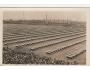 SOKOL=IX. SLET=PRAHA /rok1932*BE3643