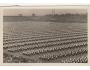 SOKOL=IX. SLET=PRAHA /rok1932*BE3650