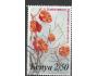 Keňa o Mi.0249 Flóra - květiny