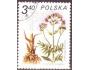 Polsko 1980 Léčivé rostliny, Michel č.2708 raz.