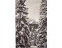 NÍZKÉ TATRY= VRBICKÉ PLESO =rok1945?*a==3192