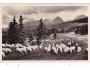 VYSOKÉ TATRY +OVCE =rok1938?*a==3270