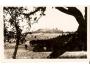 LICHNICE / r.1936 /M193-121