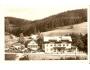 ZÁKOUTÍ-CHATA ORLICE /DEŠTNÉ V ORL.H. / r.1950 /M194-180