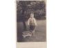 DĚTI= CHLAPEC A VOZÍČEK /rok1935?*a==3697