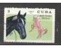 Kůň, koně - Kuba