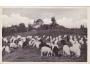 SV.HOSTÝN+OVCE+RAZÍTKO POŠTOVNA =rok1940*A11220