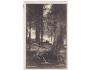 ŠUMAVA=PRAMEN VLTAVY=rok1935?*A12773