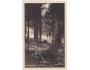ŠUMAVA=PRAMEN VLTAVY=rok1935?*A12775