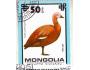 Mongolsko o Mi.1258 Fauna - ptáci