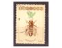 Polsko Mi 3107 - hmyz, včela, dělnice