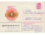 SSSR 1981 COB VIII. Slet pionýrů Moskva 1981. Č.810417 Proš