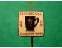 Odznak-BECHEROVKA-KARLOVY VARY /10