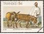 Transkei