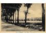 KVASICE /r.1947 / /M360-56