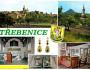 Třebenice erb h14