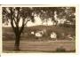 BABYLON - ŠUMAVA /r.1947*AH=563