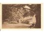 SLIAČ KUPELE /r.1923*AH=623