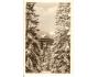 NÍZKÉ TATRY-VRBICKÉ PLESO /r.1946?*AE=318