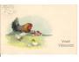 ZVÍŘATA / SLEPICE / LITOGRAFIE /rok1930?*kb=303