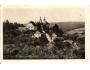 VRANOV U BRNA /r.1940?*CL95