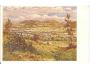KOPŘIVNICE /mal.SEDLÁČEK/ NOVÝ JIČÍN /r.1920?*CL209