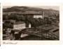 ZÁMEK DĚČÍN /r.1946?*CO215