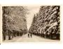 TEPLICE-ŠANOV / MOLDAVA /r.1950?*CN169